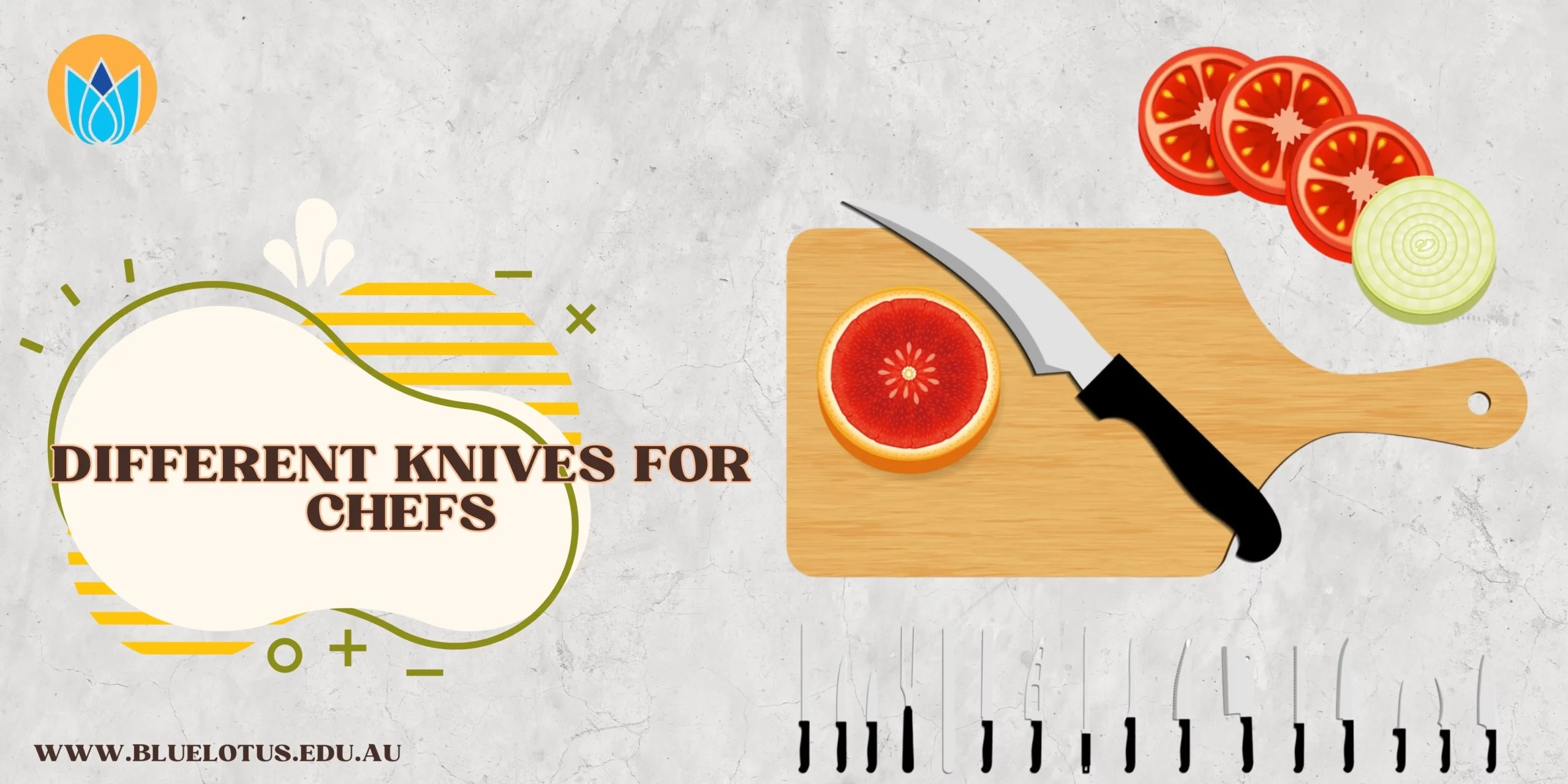 Different Knives for Chefs and How They Use Each One
